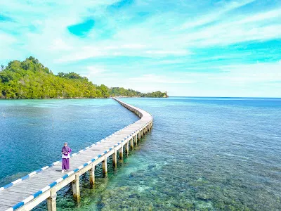 Long bridge top view