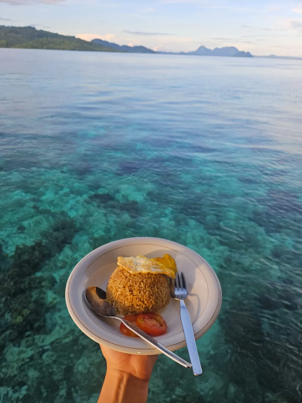 Nasi Goreng with view