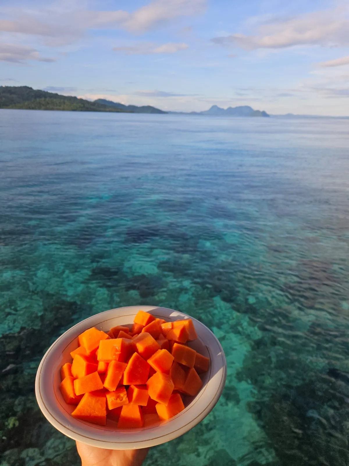 Papaya with view