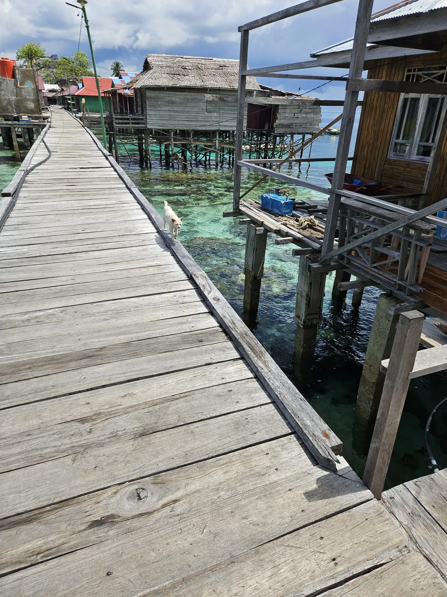 Street view of Pulau Papan village with wooden walkways connecting houses, Togian Islands, Indonesia